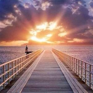 新中年研究所 头像