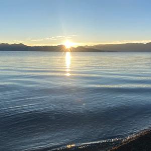 自在冷月883792261502 头像