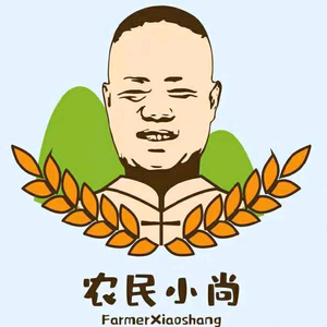 尚孬蛋头像