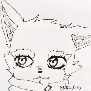 NULL丶furry 头像