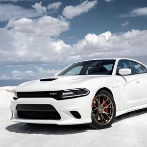 懂车小鱼哥 头像