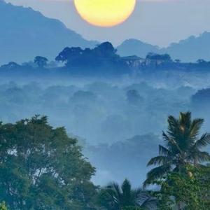 AAa上善若水 头像