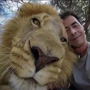 lion家园 头像