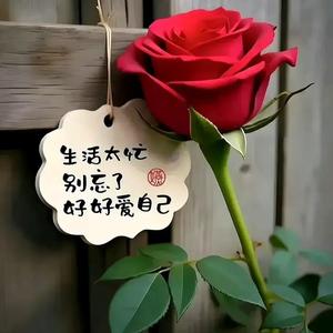 兰考洁丰干洗(预约上门，非诚勿扰丿 头像