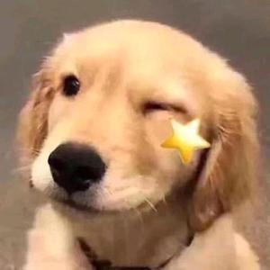 全能的亮亮 头像