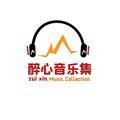 醉心音乐集 头像