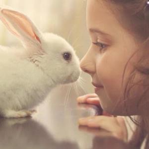 柒月小暑至 头像