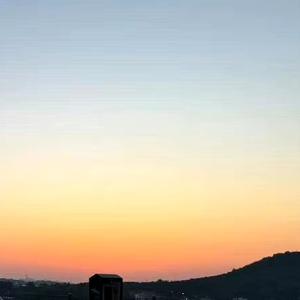 想飞的兔子 头像