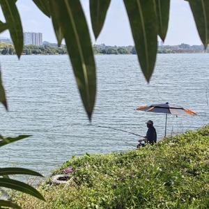 凡人小米琐碎生活 头像