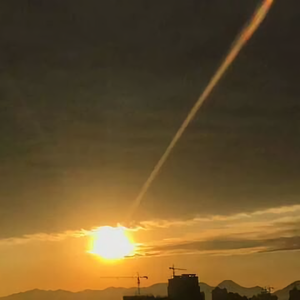 疯婆孙晚棠 头像