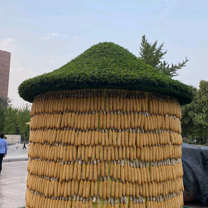 多多世界观