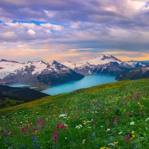 名扬天下x 头像