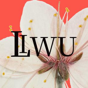 爱睡觉的大寤 头像