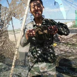 七路半分享驿站 头像