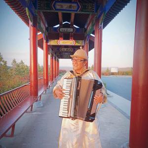 手风琴陶老师 头像