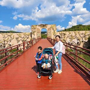 掉进面缸里的妈妈 头像