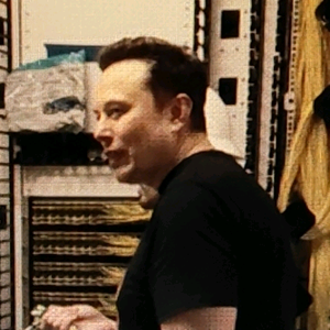 热钱永不眠 头像