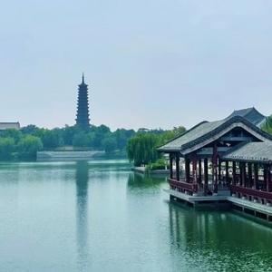 智慧的墨渊 头像