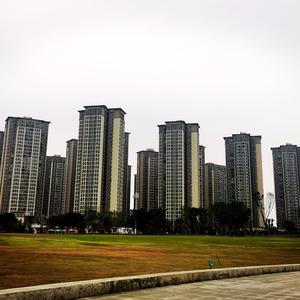 老麻说房 头像