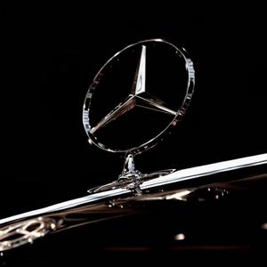 极速阳光Qr 头像