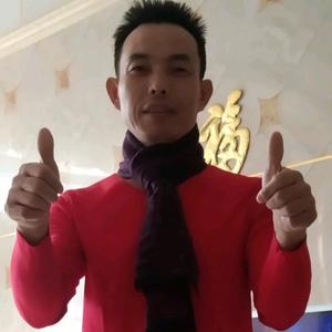 张老炮之追光的兔子 头像