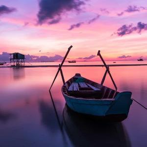 小熊大大XT 头像