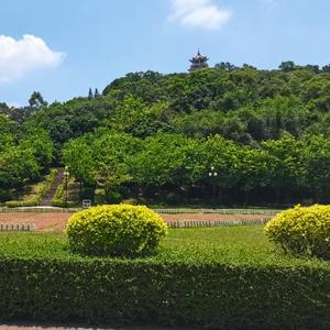往事如烟下子无悔 头像