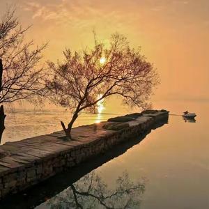 山东高考志愿规划 头像