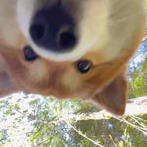 番茄爱体育 头像