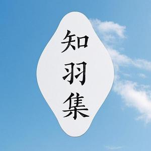 知羽集 头像