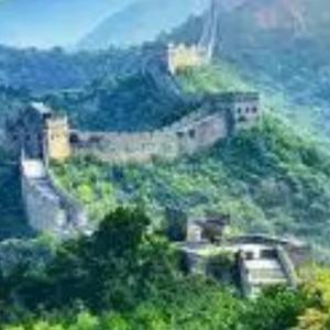 愿天下人随遇皆美好 头像