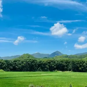 橙橙爱生活 头像