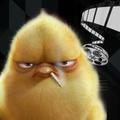 小鸡影视oO 头像