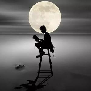 大明品天下 头像