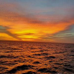 烟墩红青丰年虫养殖基地 头像