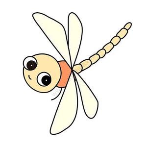 蜻蜓视线头像