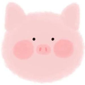 壁纸Pro 头像