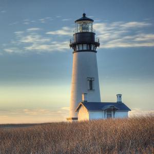 从内心可能出现 头像