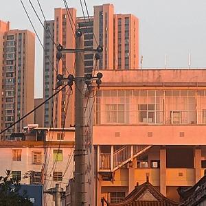 的算法结合人吧 头像