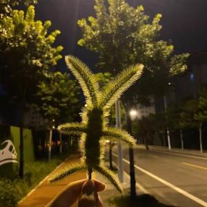 奔跑的肌肉呀 头像