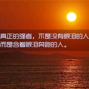 桥下闲适安坐观鱼 头像