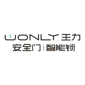 wonly王力官方旗舰店头像