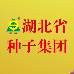 湖北种子集团有限公司头像