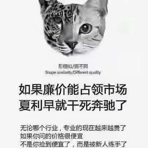 骑着蜗牛看世界 头像