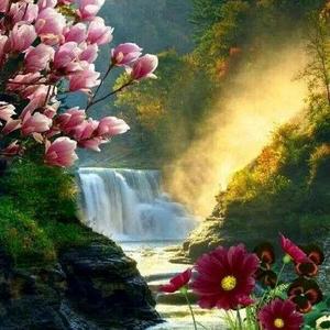 高贵艺术家F2 头像