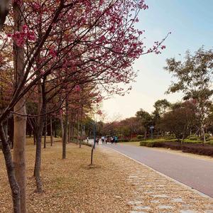 静姐的财富人生 头像