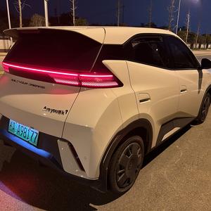 何必养海鸥 头像