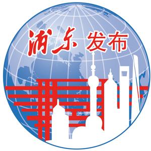浦东发布 头像