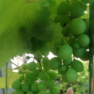 民间真实故事 头像