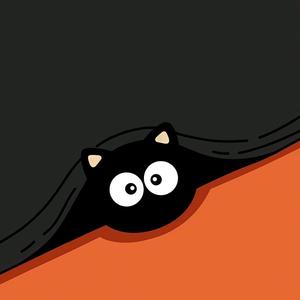 请收留我的影子 头像